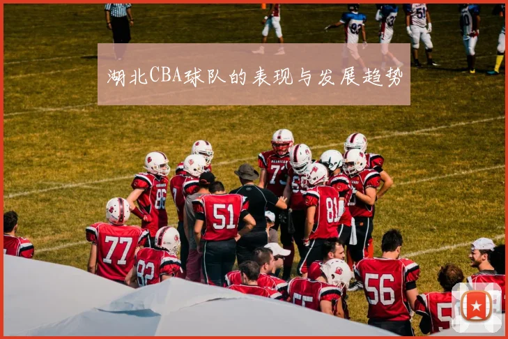 湖北CBA球队的表现与发展趋势