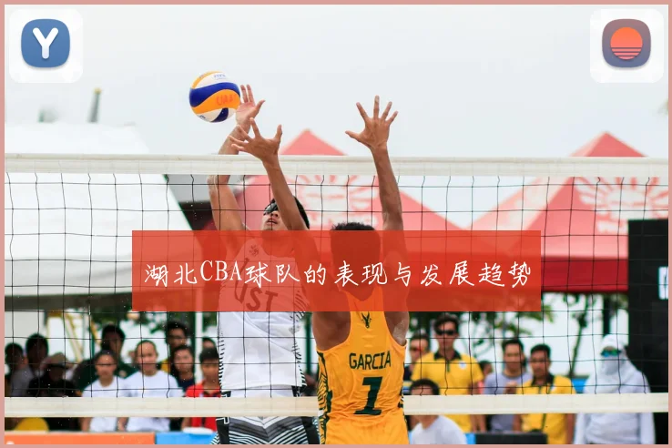 湖北CBA球队的表现与发展趋势