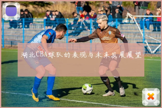 湖北CBA球队的表现与未来发展展望