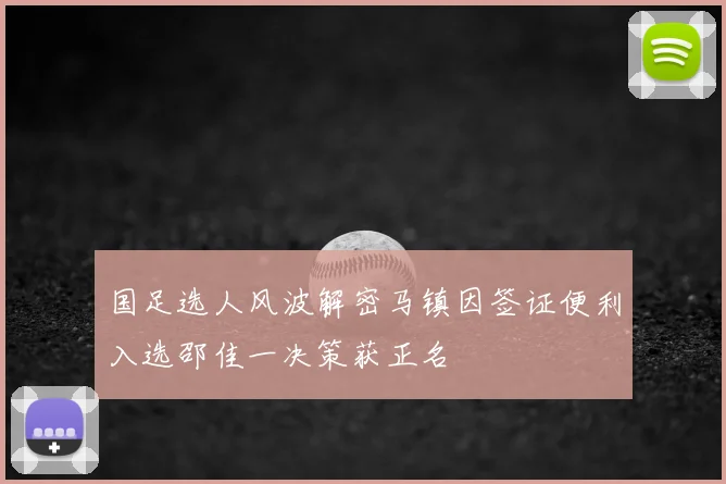 国足选人风波解密马镇因签证便利入选邵佳一决策获正名