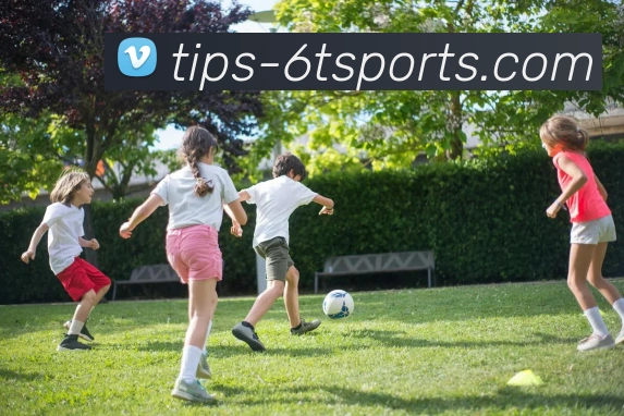 6T体育APP 封面图